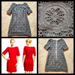 Adrianna Papell Petite crocheted sheath dress Size 8P Color grey